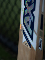 AXS Pro- Bat 02 (Founders Release)