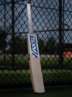 AXS Pro- Bat 05 (Founders Release)